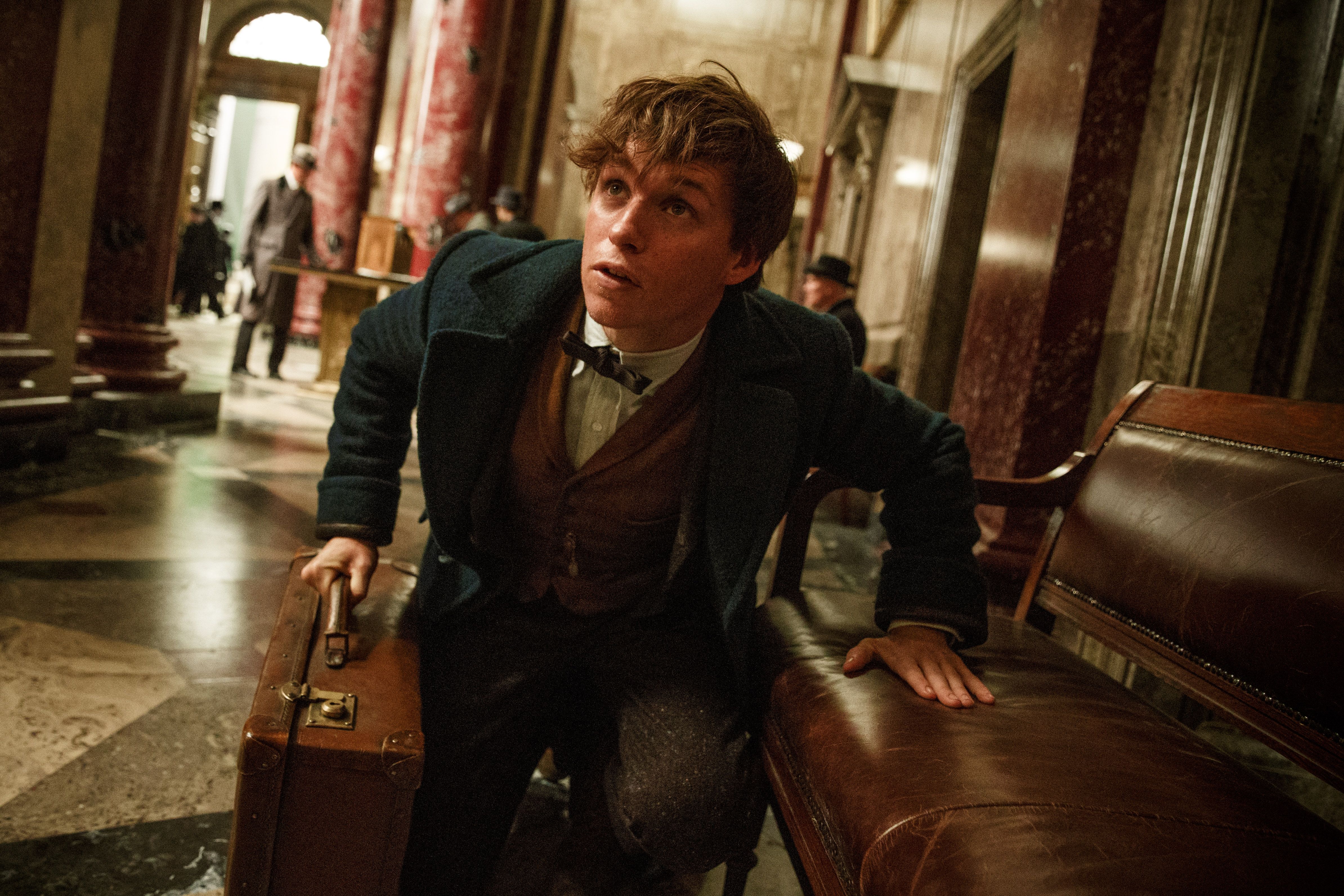 Fantastic Beasts and Where to Find Them Trailer Is Magical | Collider