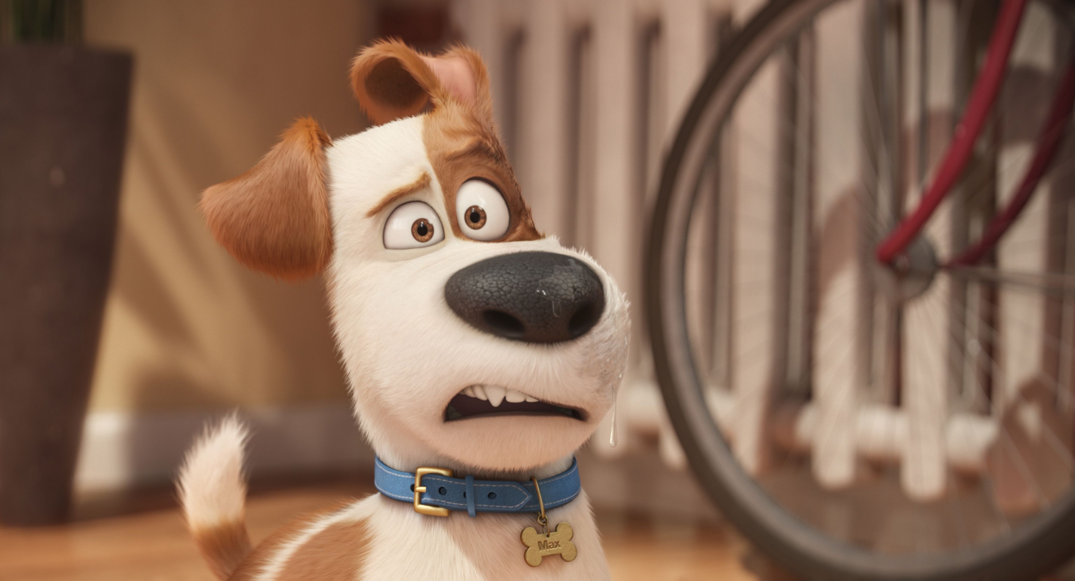 what is the movie the secret life of pets 2 about