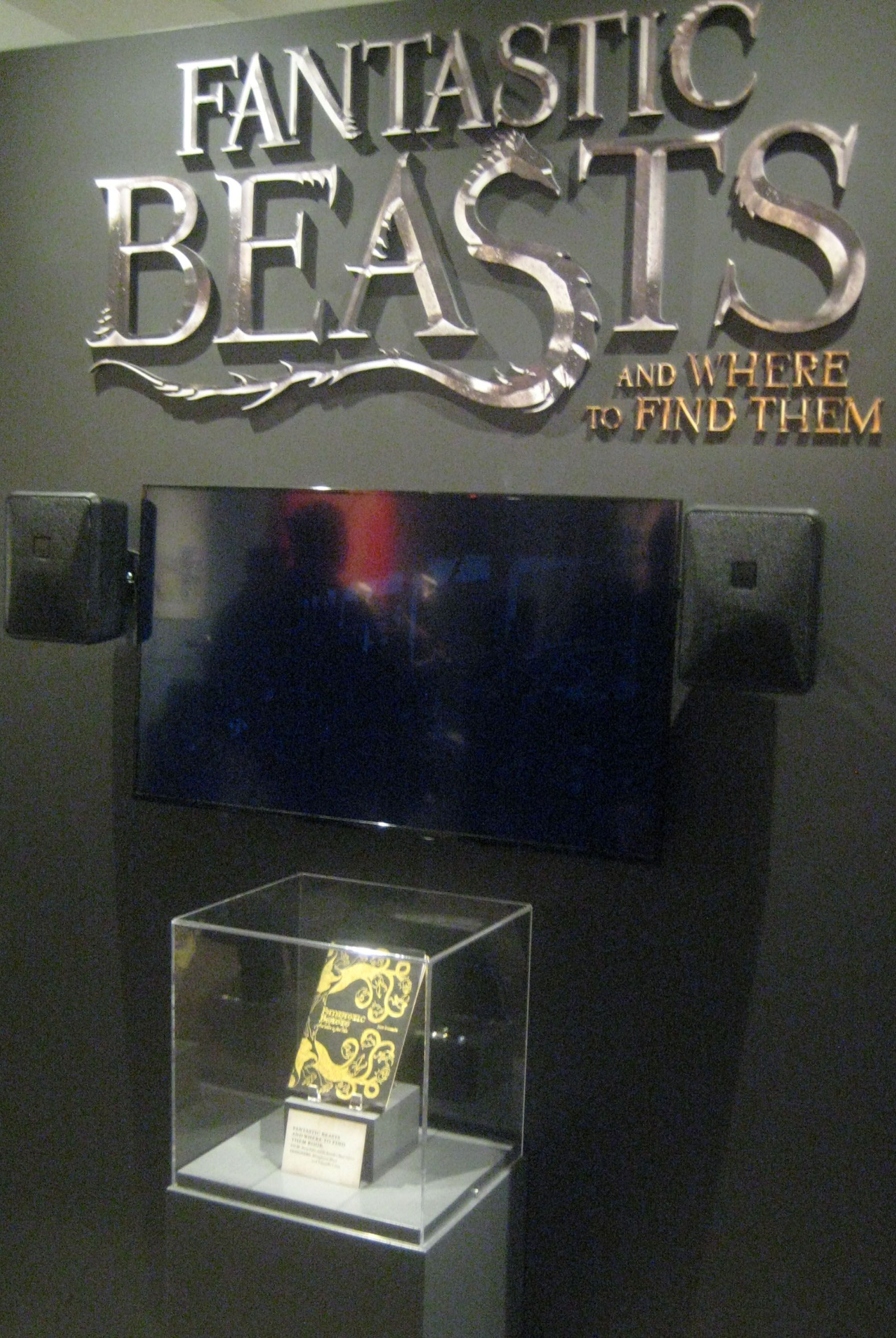 Over 100 Fantastic Beasts and Harry Potter Exhibit Images | Collider2008 x 3000