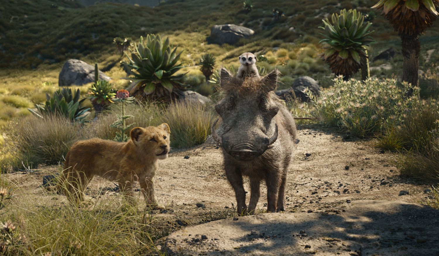 Lion King Digital, 4K, Blu-ray Release Date & Bonus Content Revealed | Collider1500 x 874