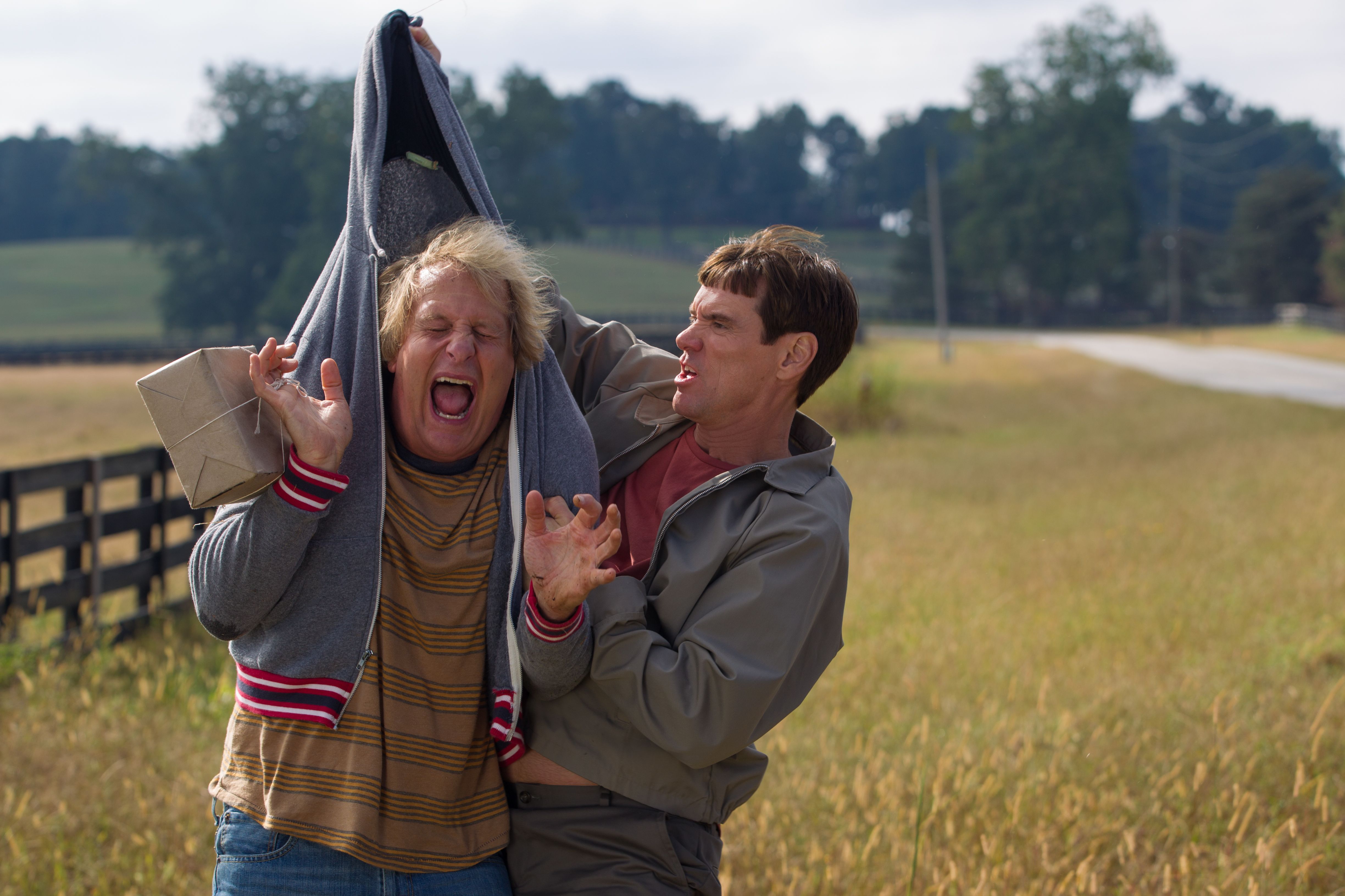 dumb and dumber to download 720p