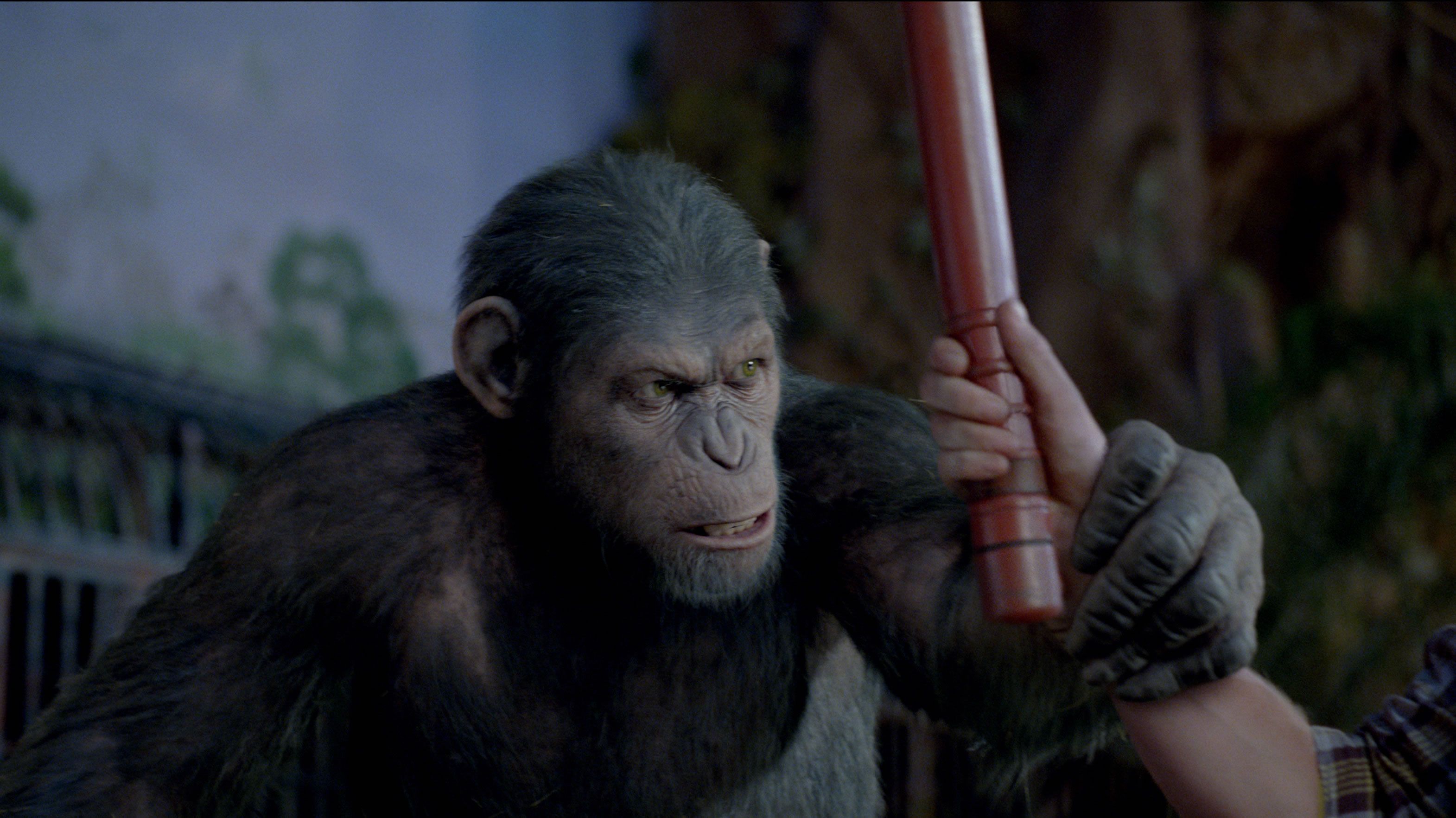 RISE OF THE PLANET OF THE APES 2 Sequel Release Date | Collider - Rise Of The Planet Of The Apes 2