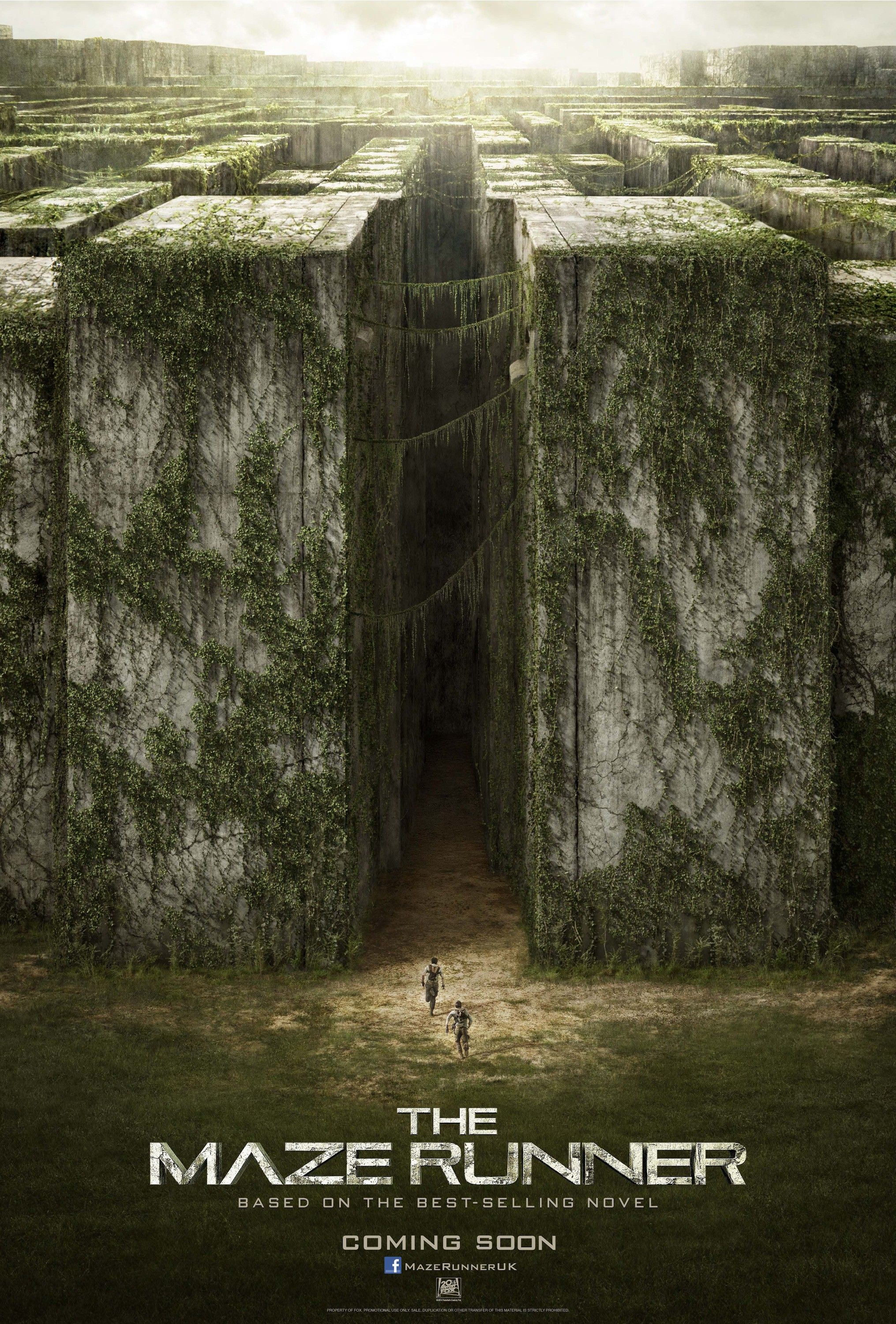 011. The Maze Runner  Creative In The Arts