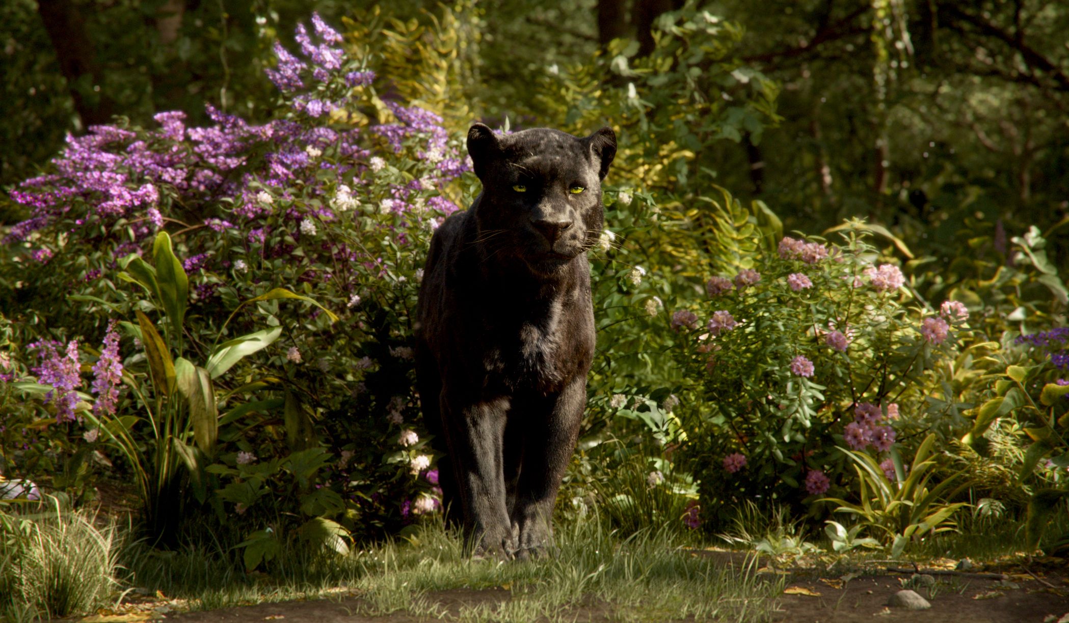 Box Office: The Jungle Book Astounds with $103.5 Million | Collider