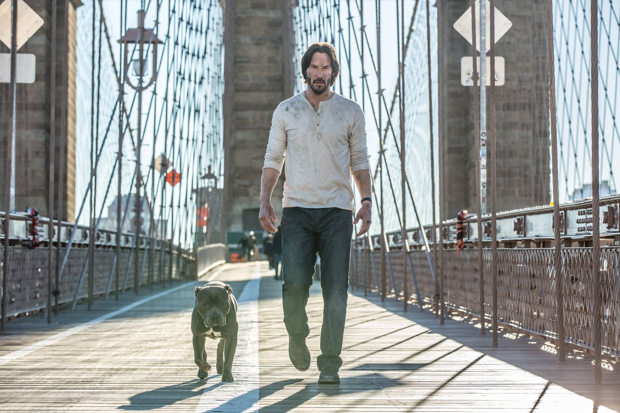 John Wick 2 Images Keanu Reeves Has A New Dog Collider Images, Photos, Reviews