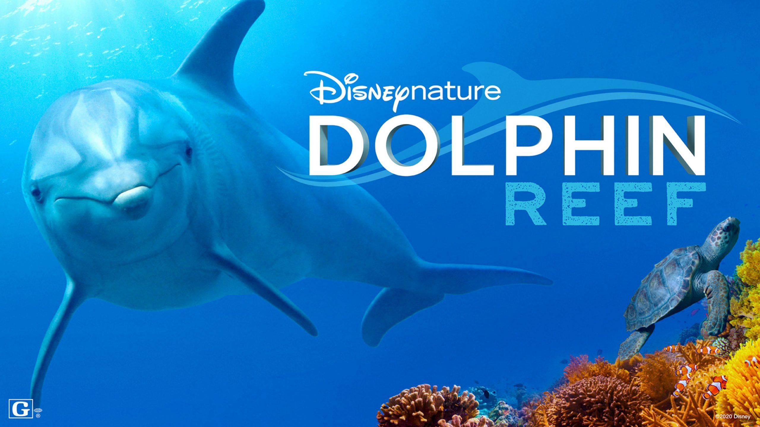 Dolphin Reef Interview: Producer Roy Conli on Disney Plus ...